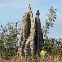 Shamrock Civil Engineering Employee Harry Wilson's profile photo