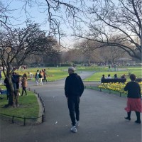 Alan Cavanagh Email