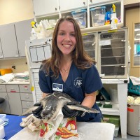 Ocean First Employee Alisa Slawinski's profile photo