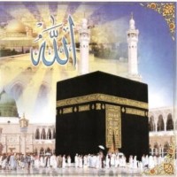 Mohamed Abdelsatar Email