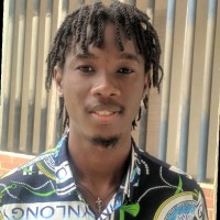 learnpally; Employee Martins Oladejo's profile photo