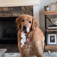 LifeSource, Inc. Employee Janet Poindexter's profile photo