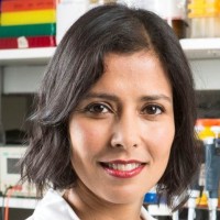 YewMaker Employee Nazneen Rahman's profile photo