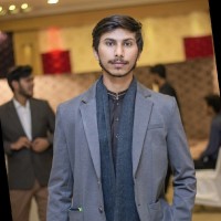 IPS USA Employee Ihtisham Farid's profile photo