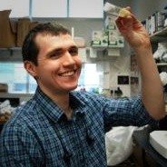 Radyus Research Employee David Ford's profile photo