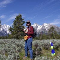 University of Wyoming Employee Amy Storey's profile photo