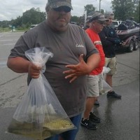 Sentry Steel Inc. Employee Kalani Borges's profile photo