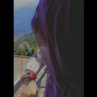 KSPR-TV Employee Maira Iqbal's profile photo