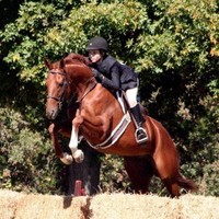 Therapeutic Horsemanship Employee Kristen Strange's profile photo