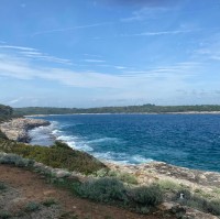 Marija Radosavljevic's profile photo