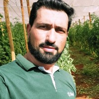 Sicredi Paranapanema Serrana PR/SP/RJ Employee José Dutra's profile photo