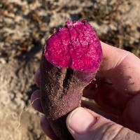 GNT Group Employee Scott Carpenter's profile photo