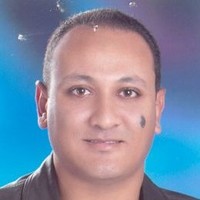 Hazem Ashmawy Email
