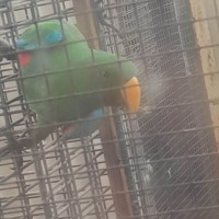 Clyde Employee Patricia Wilson's profile photo