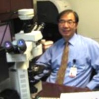 Weiqiang Zhao Email