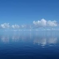 Graphic Packaging International Employee Robert Hunter Jr.'s profile photo