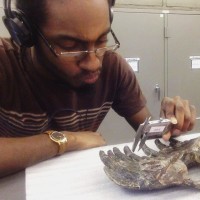 BirdNote Employee Ade Ben-Salahuddin's profile photo