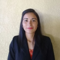 Ale Torres Email
