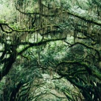 Brandon Aguirre Email & Phone Number