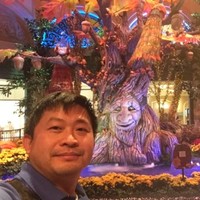 Hieu Doan Email & Phone Number