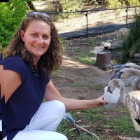 Phoenix Zoo Employee Linda Parry-Hardwick's profile photo