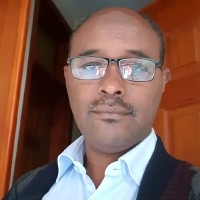 Assefa Taye Email
