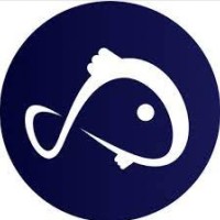 Koii.network Employee Dot Network's profile photo
