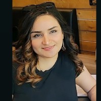 Flowmetrix Technical Services Inc Employee Narges Karamizadeh's profile photo