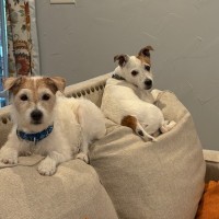 Maureen Smith Email & Phone Number