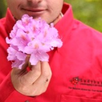 Ladybug Landscaping Employee James von Broembsen's profile photo