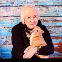 DTACT Employee Dawn Bassett's profile photo