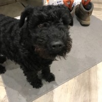 MANCHESTER METROLOGY LIMITED Employee Nigel Finney's profile photo