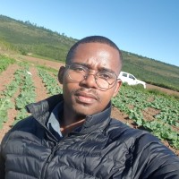 Sifundo Ngxekisa's profile photo