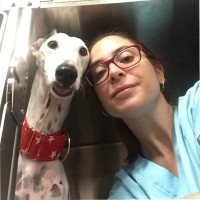 HISPALGAN Salud Animal Employee Elvira Morales Cortijo's profile photo