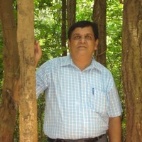 Amit Gangal Email