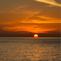 Tim Putman Email & Phone Number