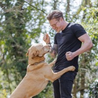 Sam Venning Email & Phone Number