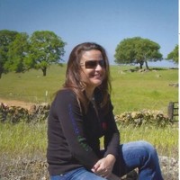 N & S TRACTOR CO. Employee Ann Holloway's profile photo