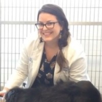 The Animal Foundation Employee Casey Miller's profile photo