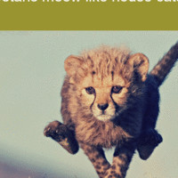 Bolt Express Employee Beth Exp's profile photo