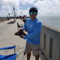 Kou Yang Email & Phone Number