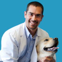 Evan Mariotti Email & Phone Number