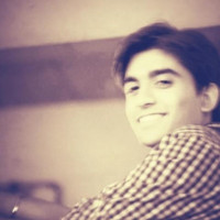 Ankit Saini Email & Phone Number