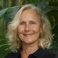 Diane Ragone Email & Phone Number
