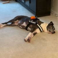 Amuse Employee Nick L's profile photo