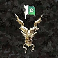 Security Intelligence Specialist Training Facility Employee Hasnain Khan's profile photo
