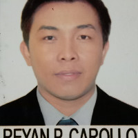 Vision Properties Development Employee Reyan Carollo's profile photo