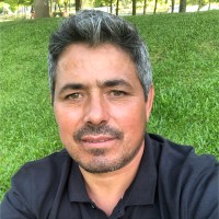 José Fortes de Melo Email