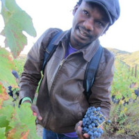 Derek Forbes Email & Phone Number