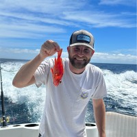 Dylan Gwin Email & Phone Number